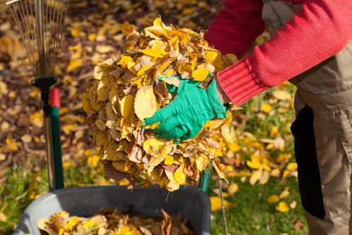Professional team clearing garden debris in Belmont