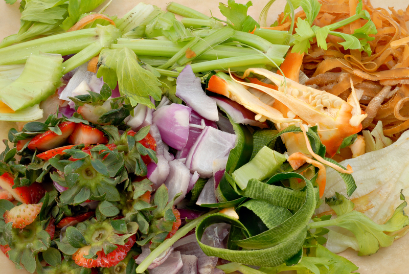 The Future of Eco-Friendly Packaging and Cardboard Disposal